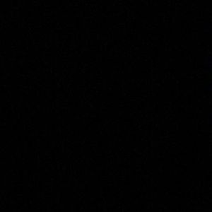 Meet your Posher, Andie